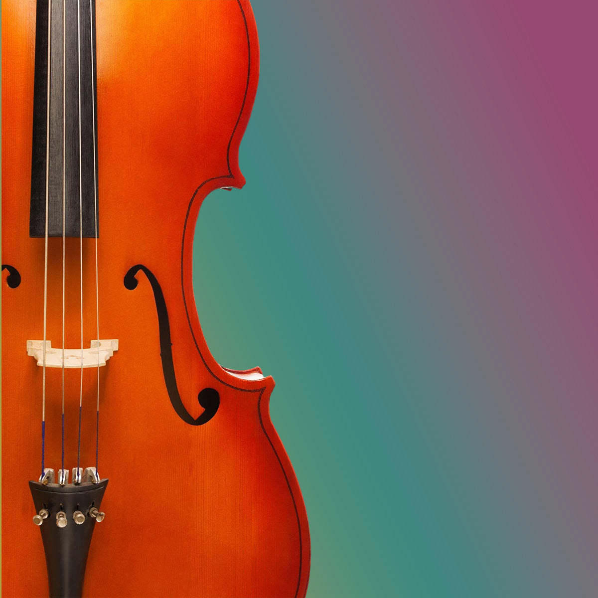 bass on a colorful background