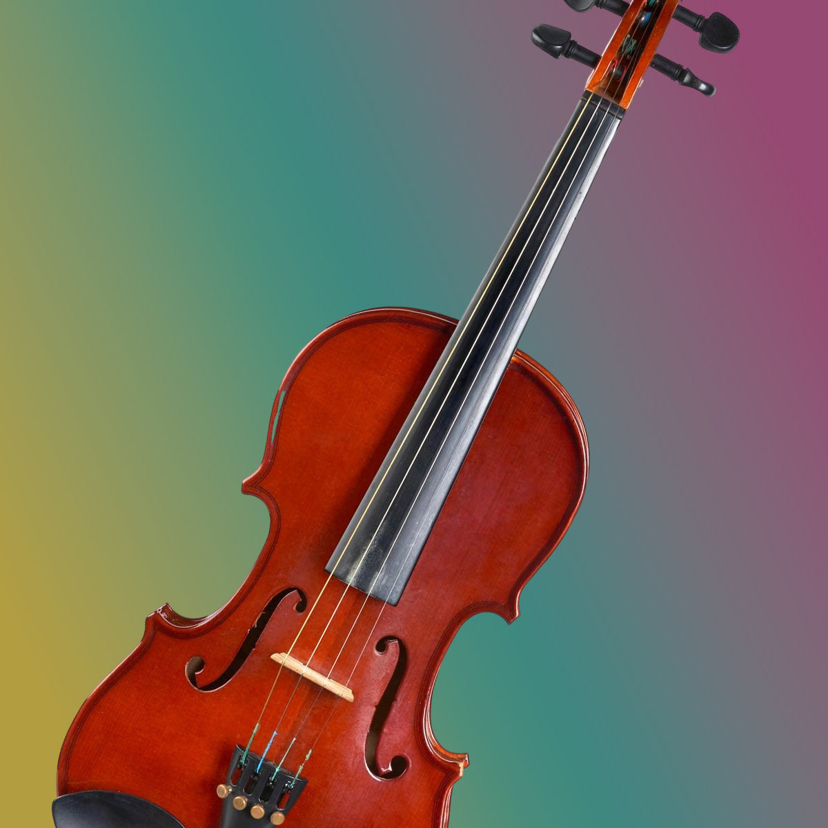 viola on colorful background