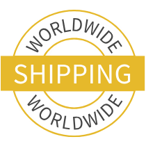 worldwide shipping icon