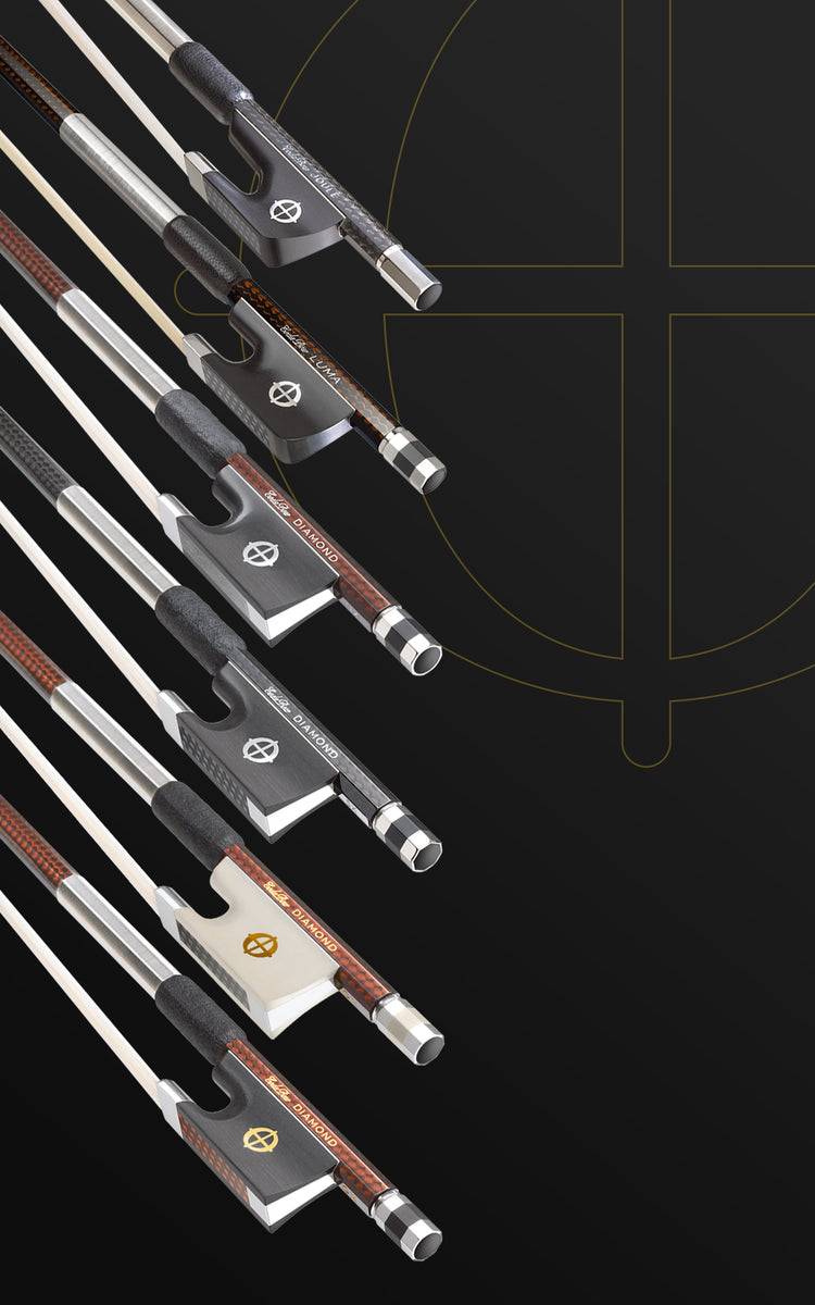 violin performance models