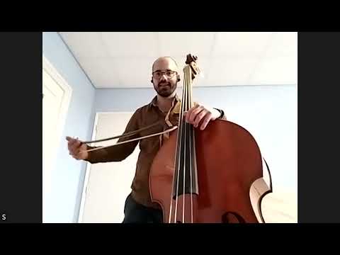 Marquise GS Bass | CodaBow