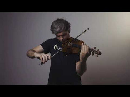 Prodigy Violin
